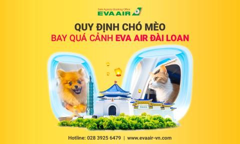 Quy định chó mèo bay quá cảnh EVA Air tại Đài Loan mới nhất